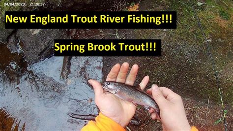 New England River Hikingfishing Spring Brook Trout Youtube