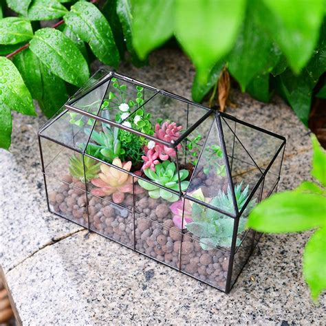 Product Of The Week Mini Greenhouse Terrariums