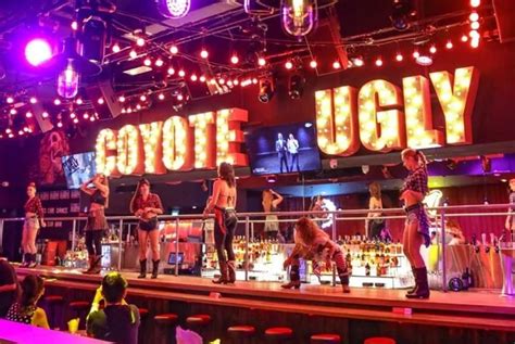 Bottomless Coyote Ugly Themed Brunch Voucher London Wowcher