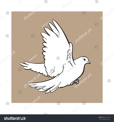 Free Flying White Dove Sketch Style Stock Vector Royalty Free 549147301