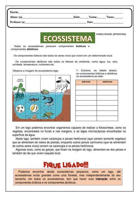 Atividades Sobre Ecossistema Ano Gabarito