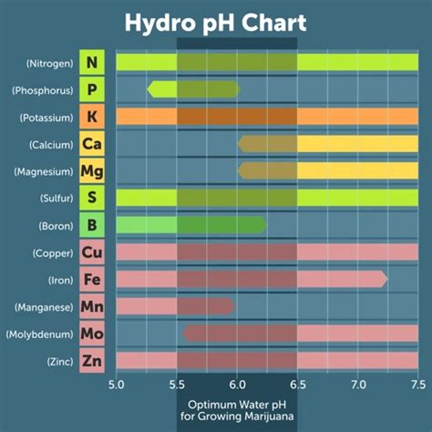 How To Maintain Ph And Ec Levels In Cannabis Hydroponic Systems 420 Grow Radar