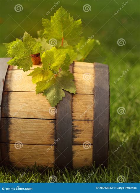 Lames De Vert Du Raisin Sur Le Baril De Vin Image Stock Image Du