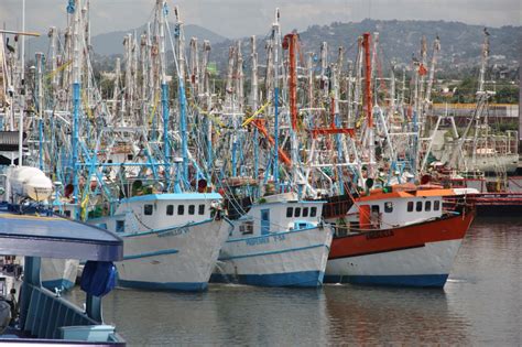 Cuáles son las épocas y zonas de veda para la pesca comercial de