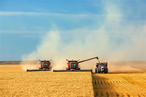 HD wallpaper: three red tractors, field, the sky, harvest, cleaning ...