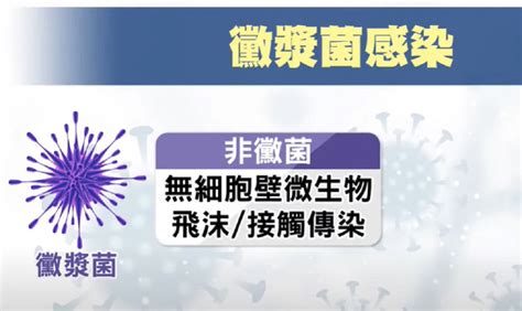 小心！曾害童用葉克膜 醫曝台恐爆「黴漿菌感染」 生活 工商時報