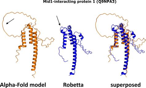 Comparison Of Alphafold And Robetta For Mid Interacting Protein The