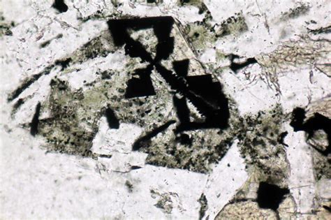 Ilmenite Thin Section