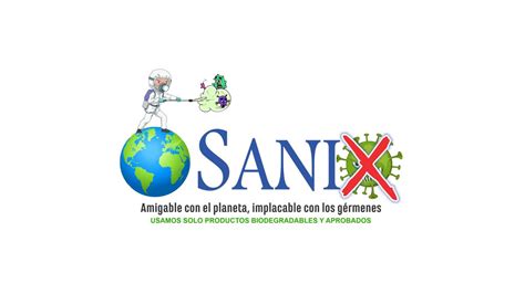 Sanix Dise O De P Gina Web Y Marketing Por Yuumgo