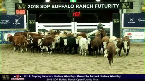 2018 Ncha Futurity Final Reyving Lunacat And Lyndsey Wheatley Youtube