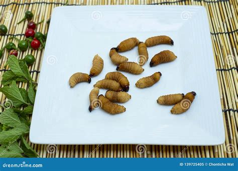 Red palm weevil larvae stock image. Image of chrysalis - 139725405