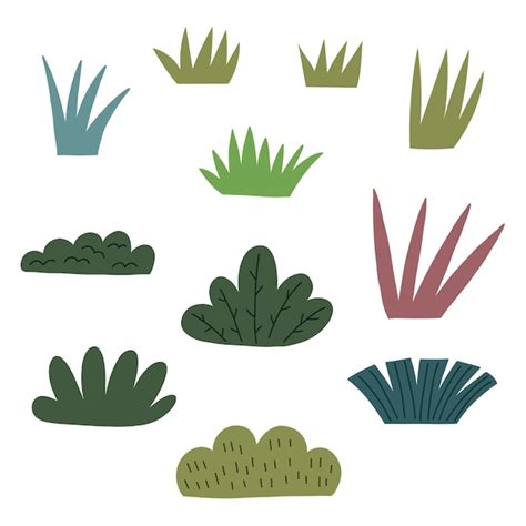 Premium Vector Set Forest Herb Shrubs Forest Grass Clipart Hand