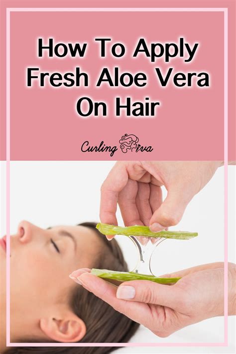 How To Apply Aloe Vera To Private Parts A Comprehensive Guide Martlabpro