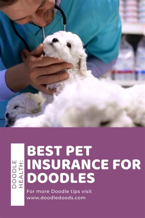 Best pet insurance comparison chart guide to pet insurance – Artofit