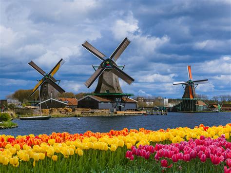 5 Ways You Can Tell That It S FINALLY Spring In The Netherlands