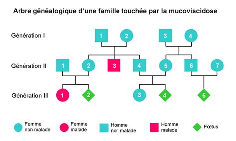 Patrimoine génétique et maladie SVT Lycée M MULLER