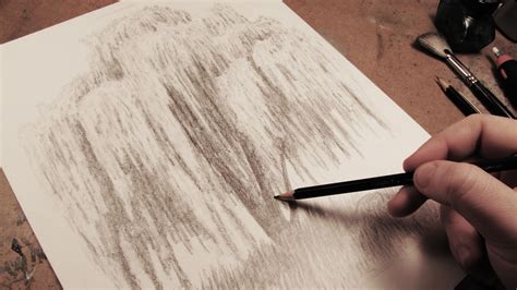 Draw A Weeping Willow Tree