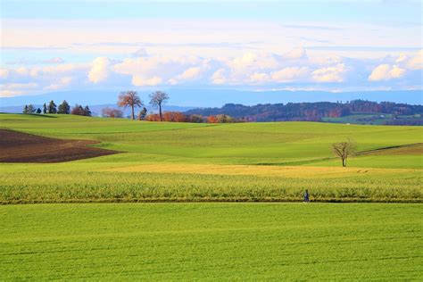 Grassland Fields Nature Fall Free Photo On Pixabay