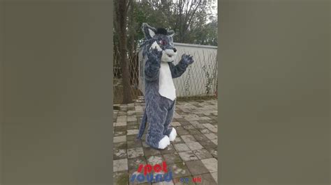 Spotsound Co Uk Mascot Costume Giant Grey Wolf With White Belly Full Body Mascot Costume