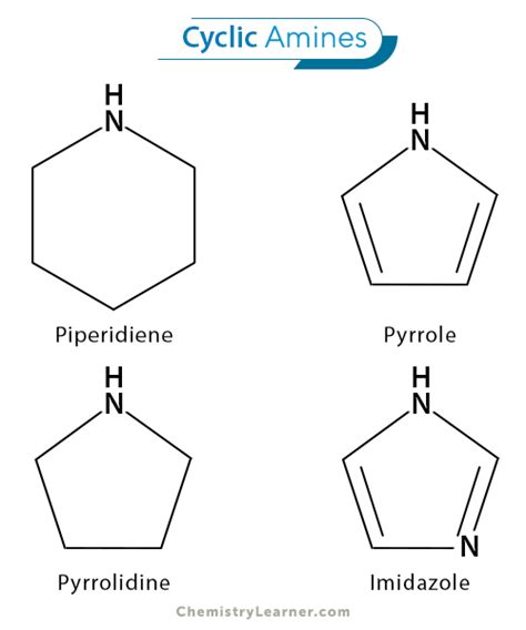 Amines: Definition, Structure, Type, and Example