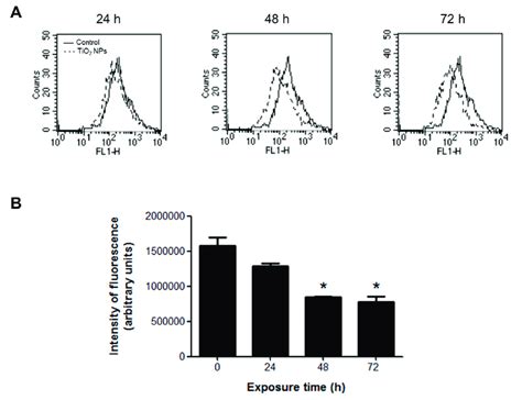 Tio2 Nps Decreased M In H9c2 Cells Treated With 20 Gcm 2 Tio2 Nps