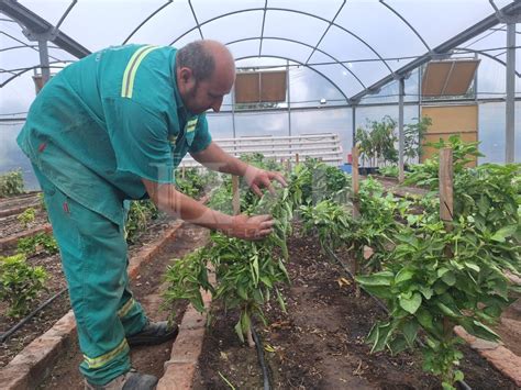 Familias Sancarlinas Ya Producen Su Huerta En Casa La Voz De La