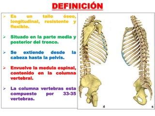 Osteolog A De La Columna Vertebral Ppt