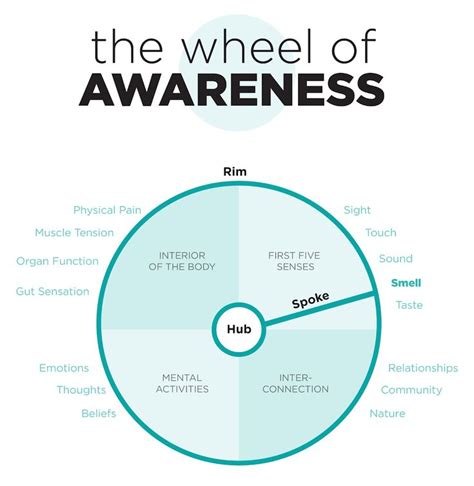 The Wheel Of Awareness Mind Training For Health And Happiness