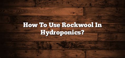 How to use rockwool in hydroponics? - Inter Culturalu