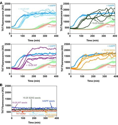 Atomic Structures Of Fibrillar Segments Of Hiapp Suggest Tightly Mated