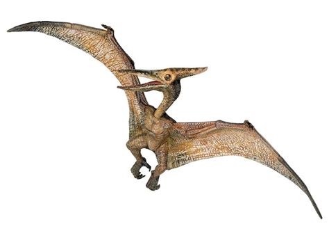 Papo The Dinosaur Figure Pteranodon One Of The Largest Flying Reptile