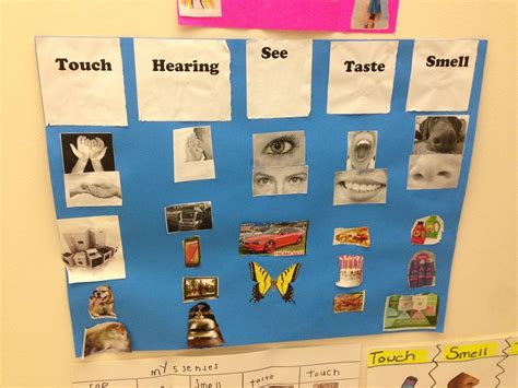 My 5 Senses The Primary Post Teaching Themes Mini Lessons