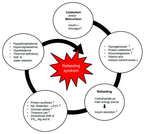 Nutrients Free Full Text Refeeding Syndrome A Critical Reality In Patients With Chronic Disease