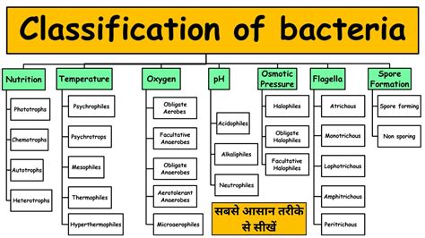 Classification Of Bacteria On The Basis Of Nutrition Oxygen