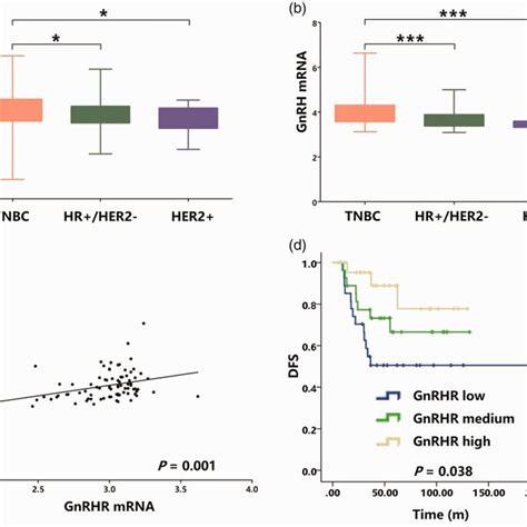 GnRHR Effects On TNBC Cell Apoptosis And The Cell Cycle A