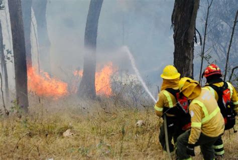 536 Incendios Forestales Se Han Registrado En Quito En El 2023 Si Se