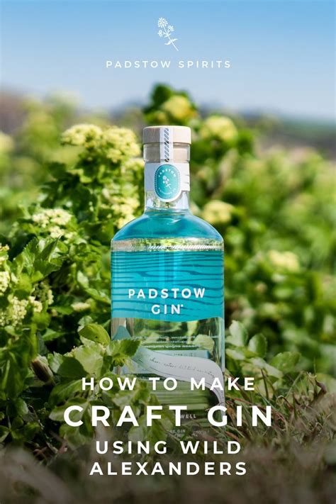 Pin On Padstow Gin