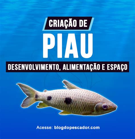 Criação de piau em tanques alimentação reprodução ambiente e