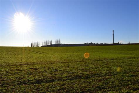 Fotos gratis paisaje árbol naturaleza césped horizonte