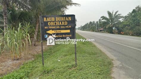 Agriculture Land For Sale At Raub