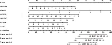 Frontiers Comprehensive Analysis Of The Functions And Prognostic