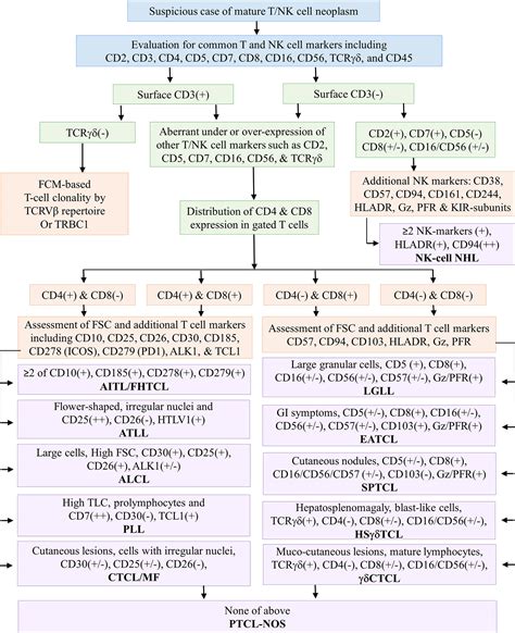 Frontiers Critical Role Of Flow Cytometric Immunophenotyping In The