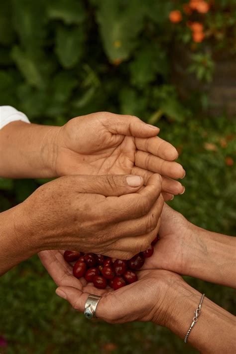 Esperanza De Colombia La Nueva Edici N Limitada De Nespresso