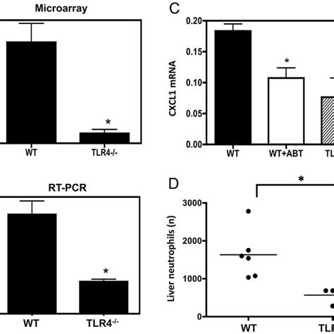 Decrease Of Cxcl Message And Neutrophil Counts In Tlr Deficient Liver