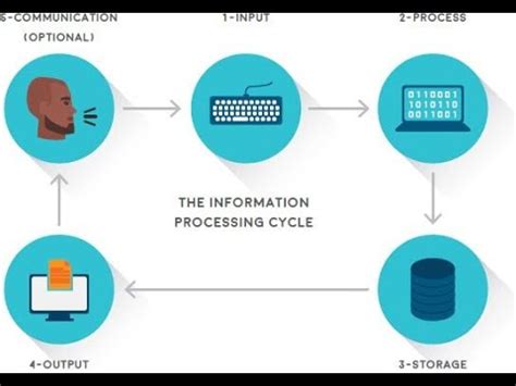 Information Processing Cycle Youtube