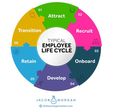 Employee Life Cycle Diagram