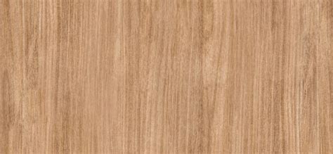 What Is Oak Wood? The Complete Guide To Solid Oak Wood - Madawaska Doors