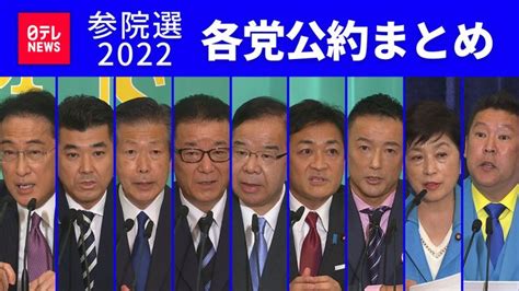 【図解】参院選公示 政党別公約まとめ 各党の政策を一覧で｜日テレnews Nnn