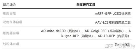 自噬干货分享系列之经典自噬研究 知乎