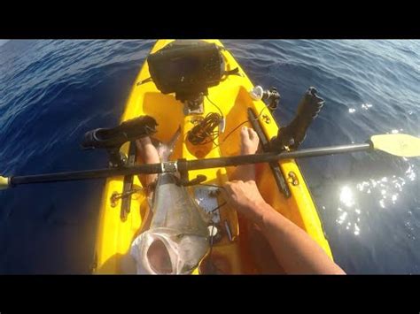 Kayak Fishing Traina Col Vivo Ricciola Junior YouTube